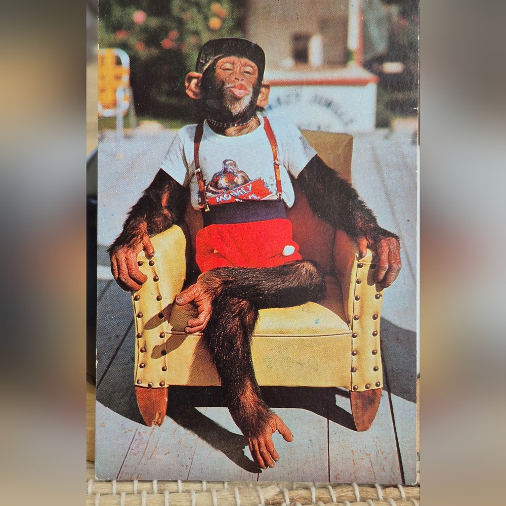 Vintage Florida Monkey Jungle Post Cards
